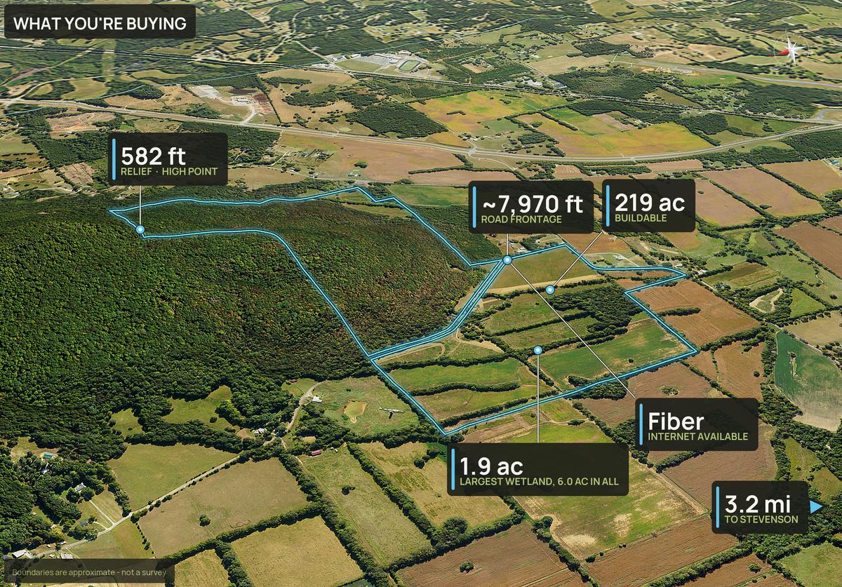 What You're Buying slide with callouts for an Alabama land parcel