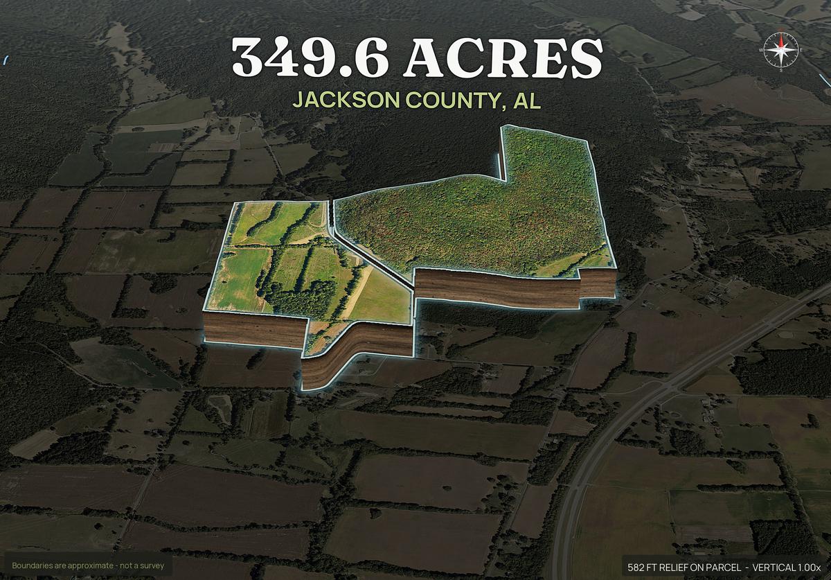 Pop-out of an Alabama land parcel lifted out of the ground with dirt walls