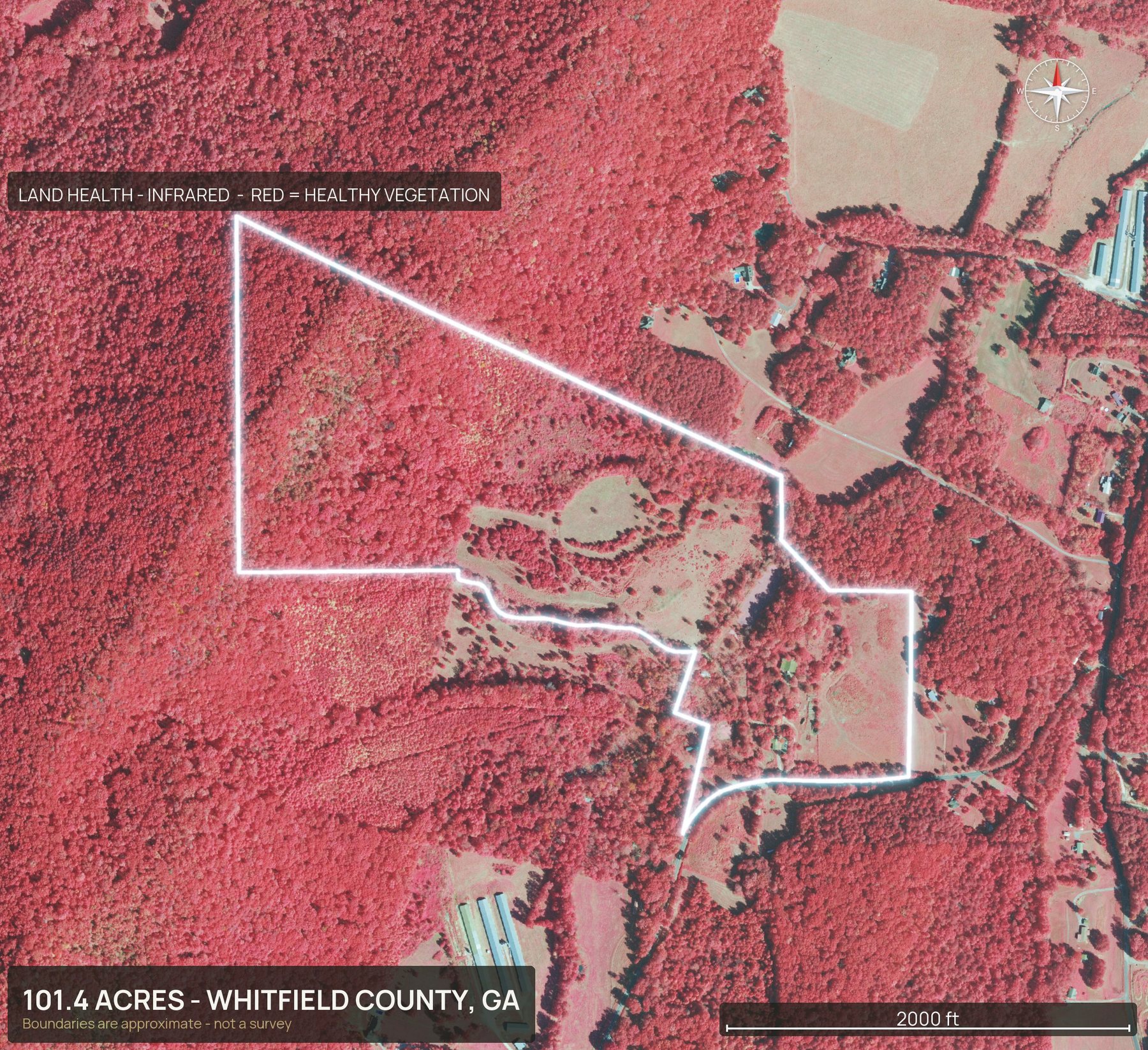 Land health, infrared of a Georgia land parcel