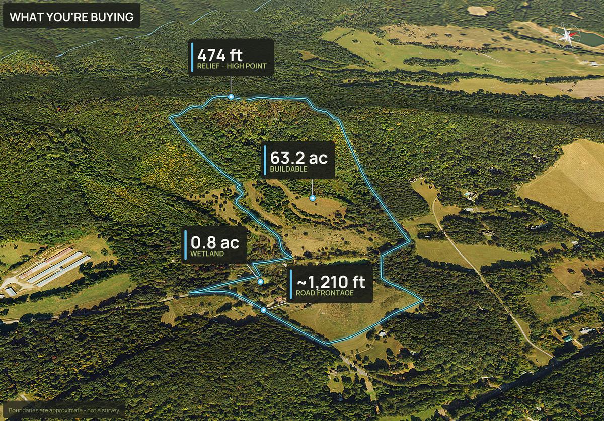 What You're Buying slide with callouts for a Georgia land parcel