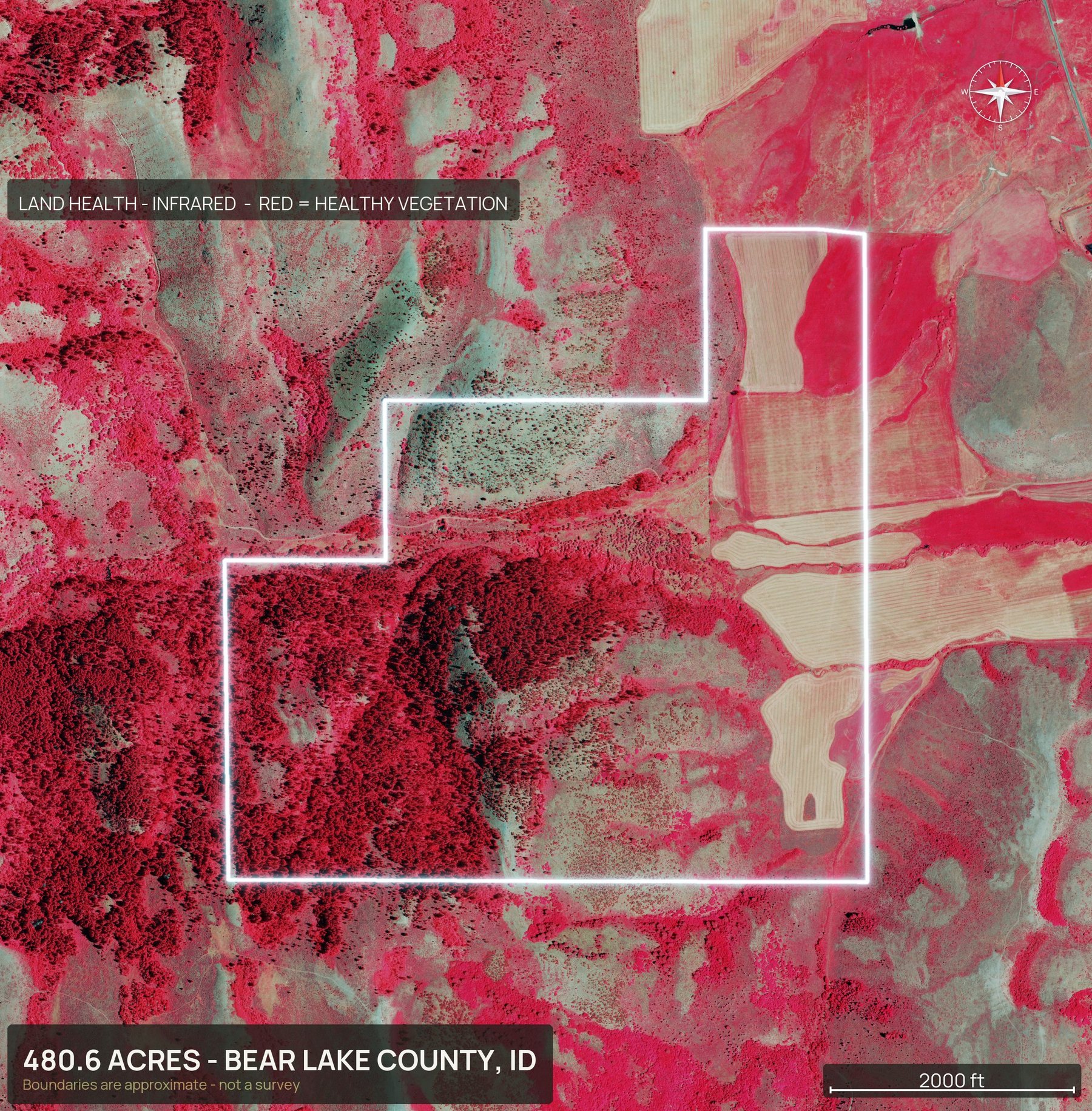 Land health, infrared of an Idaho land parcel