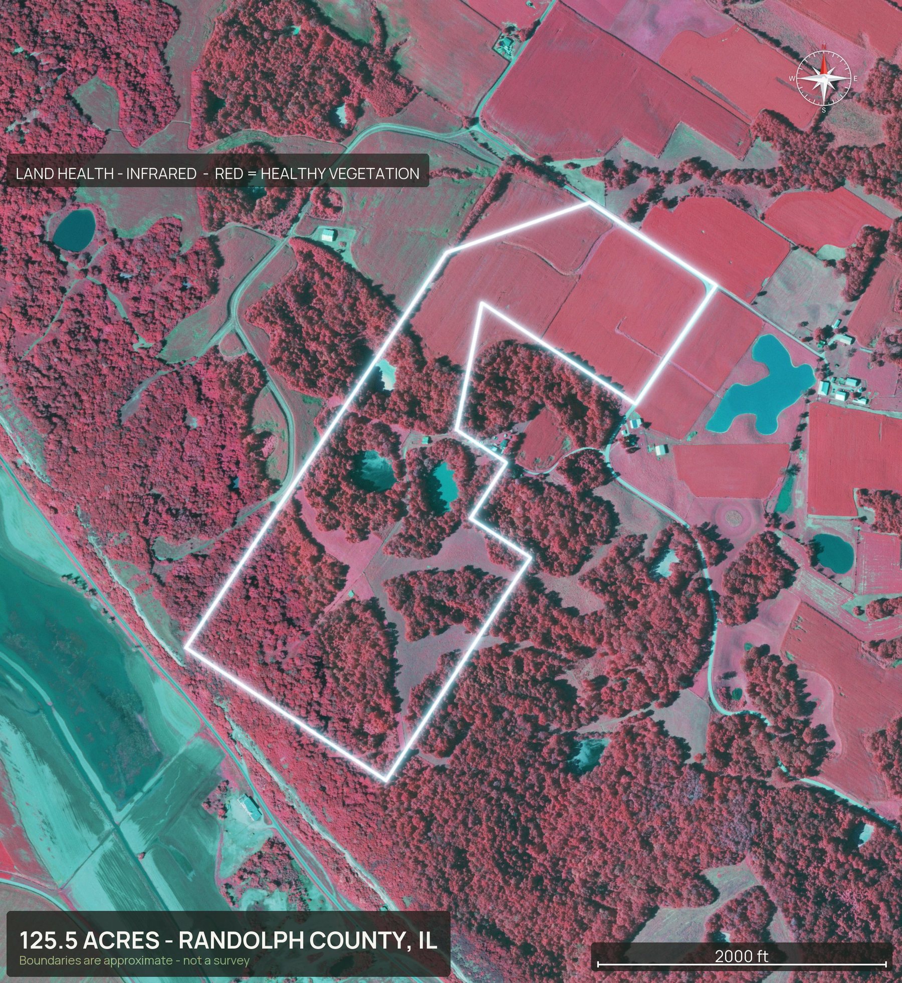 Land health, infrared of an Illinois land parcel