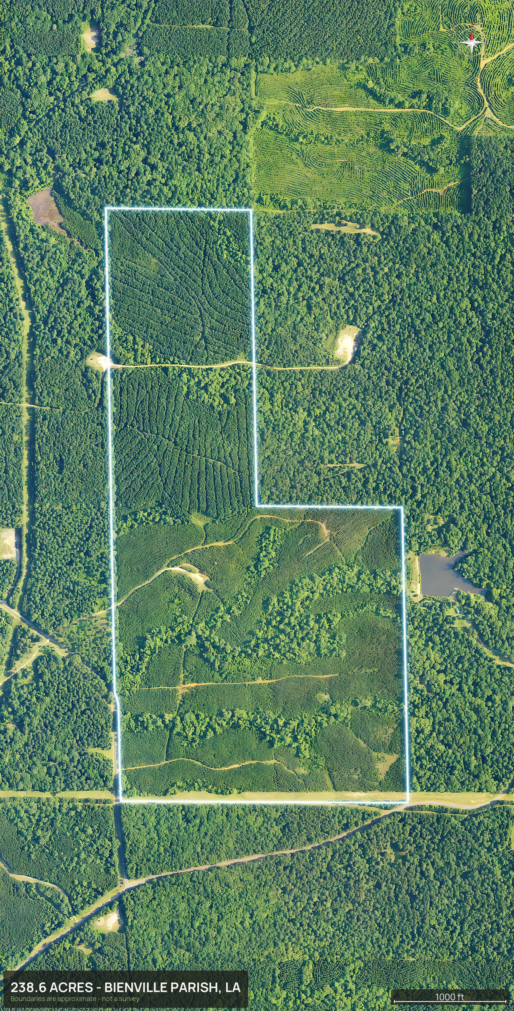 Boundary top-down of a Louisiana land parcel