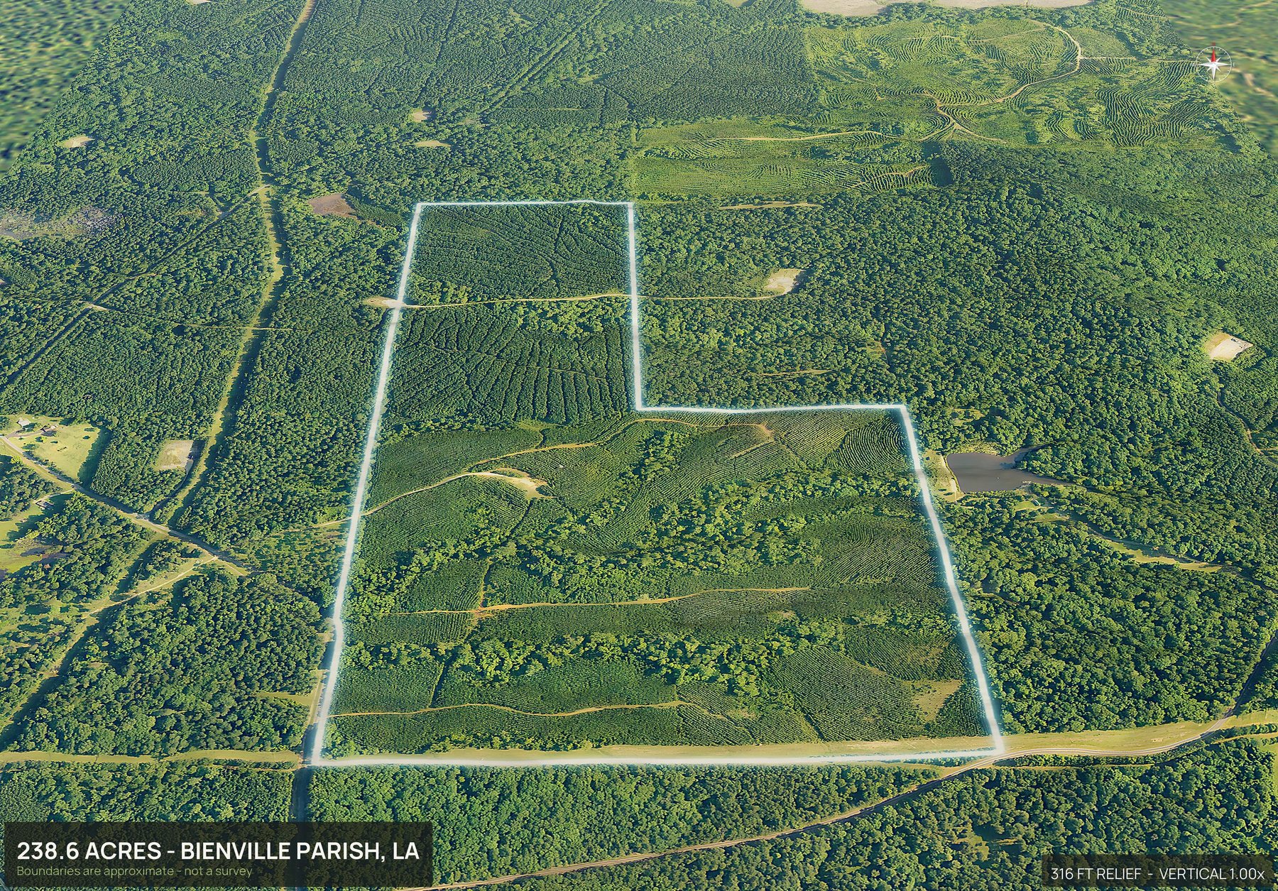3D from the south of a Louisiana land parcel