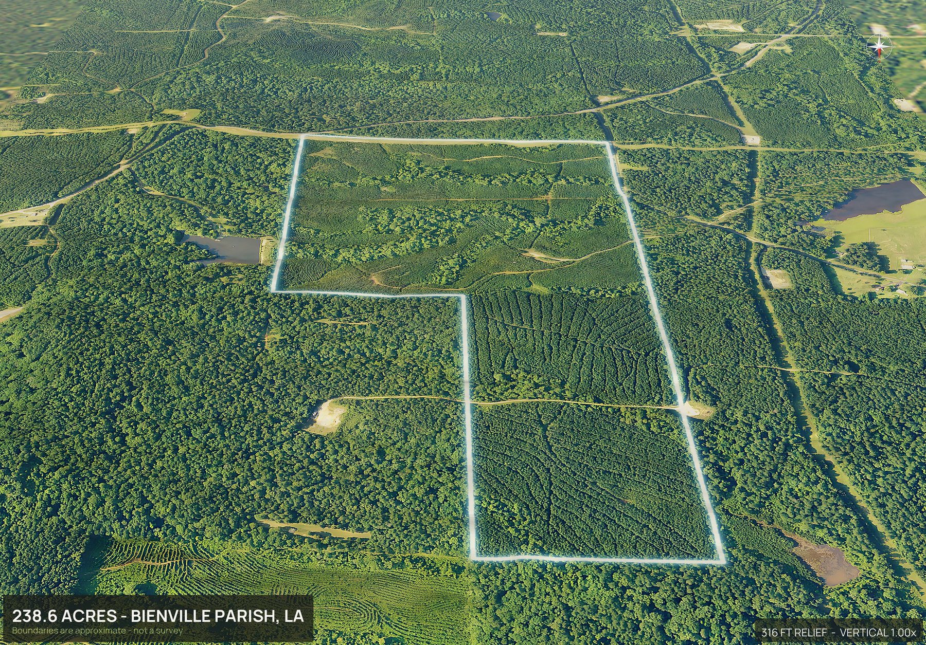 3D from the north of a Louisiana land parcel