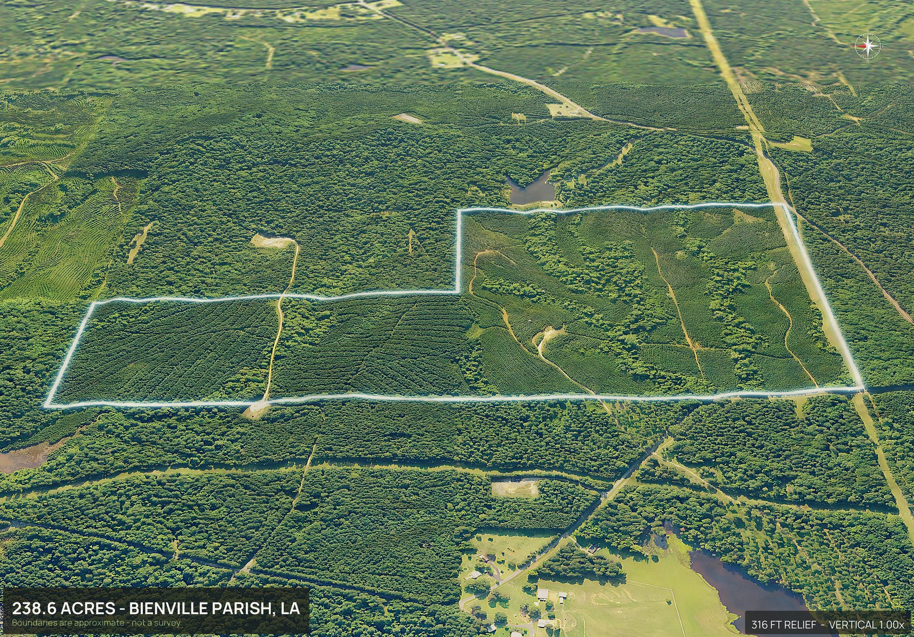 3D from the west of a Louisiana land parcel