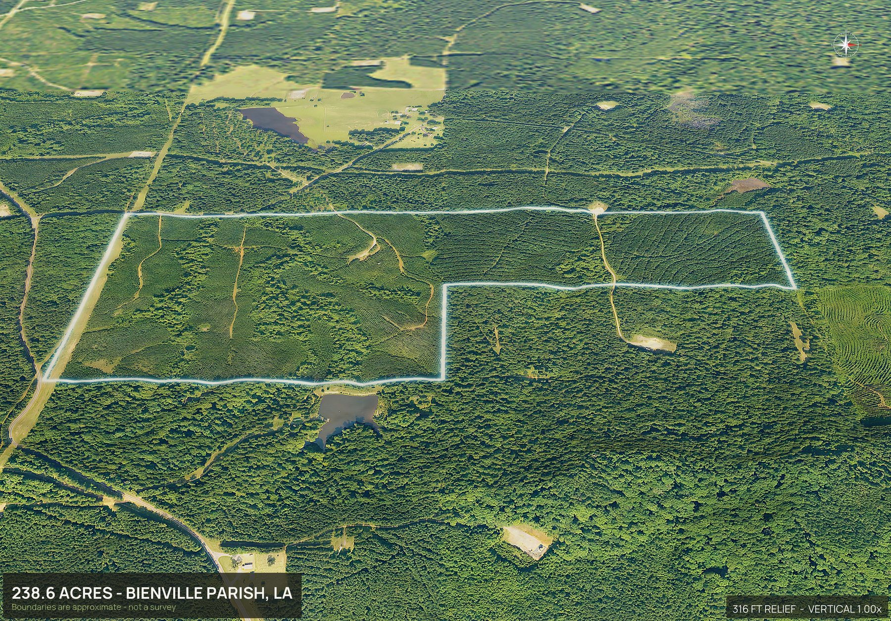 3D from the east of a Louisiana land parcel