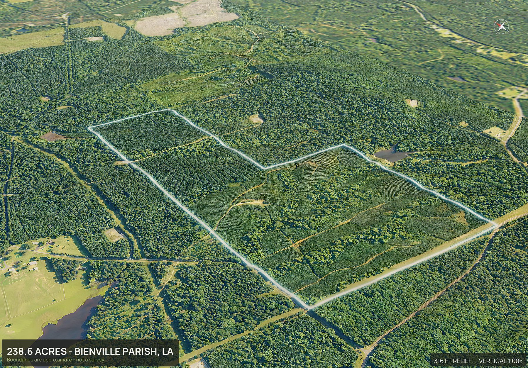 Road frontage of a Louisiana land parcel