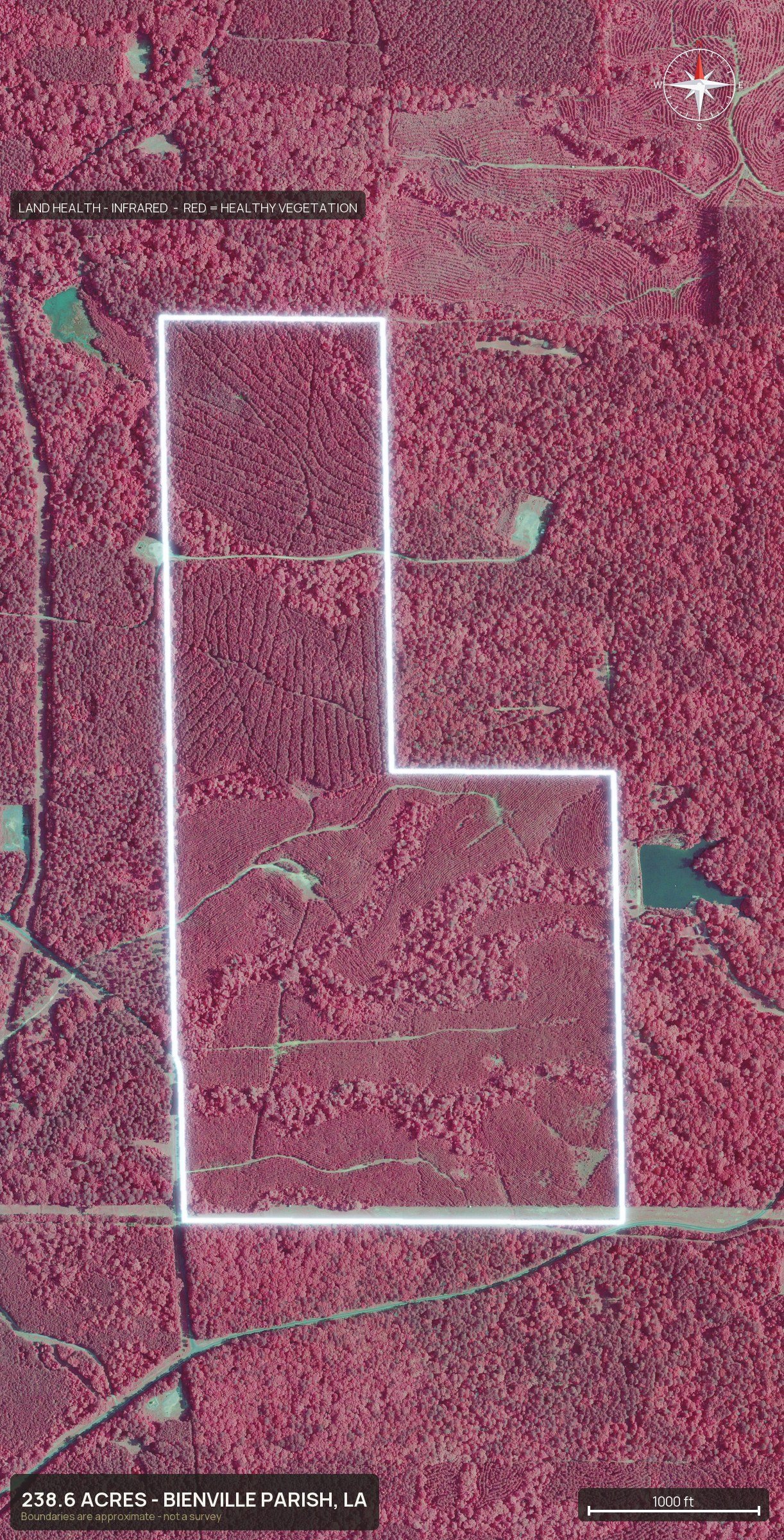 Land health, infrared of a Louisiana land parcel