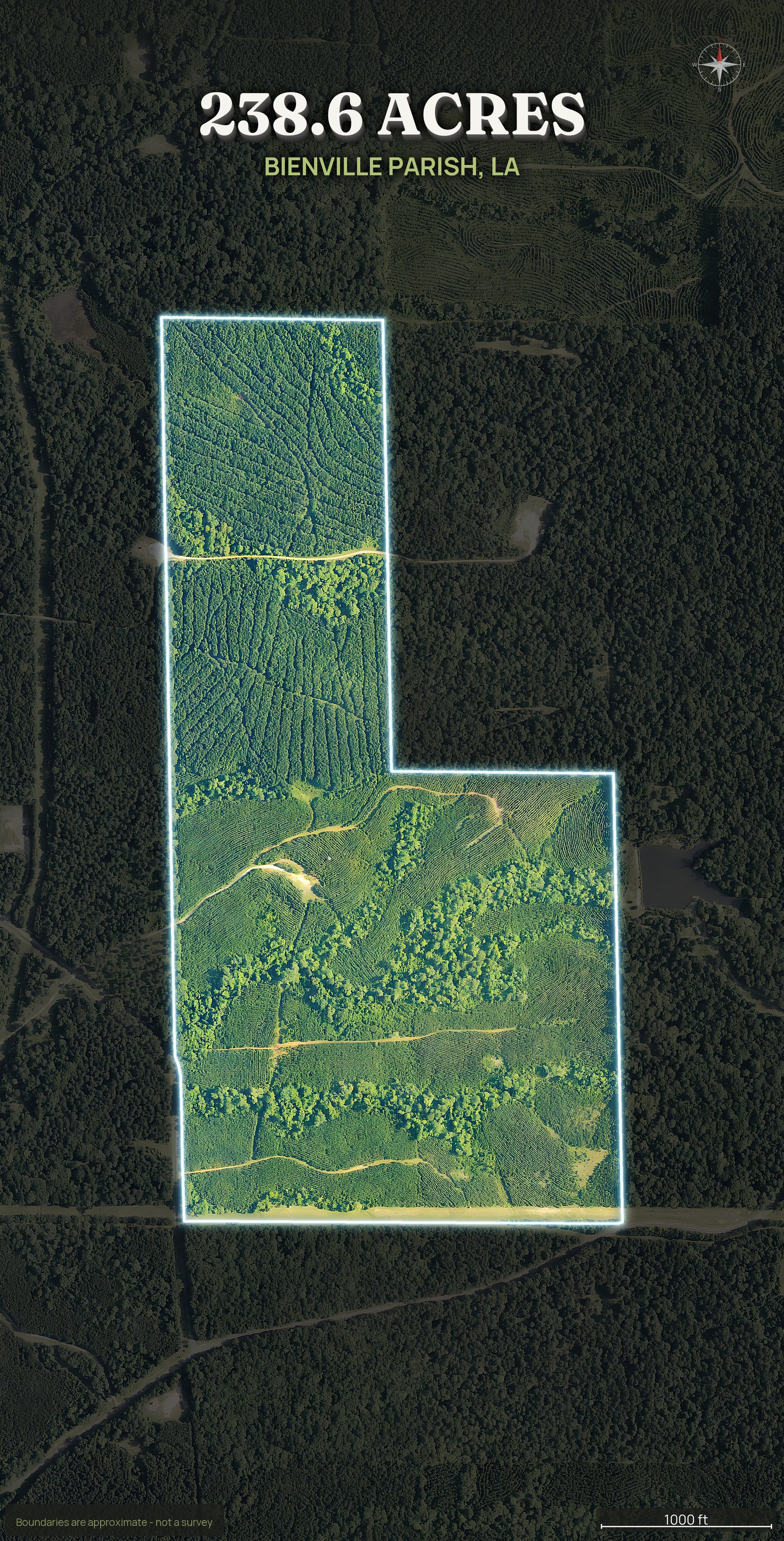 Spotlight top-down of a Louisiana land parcel