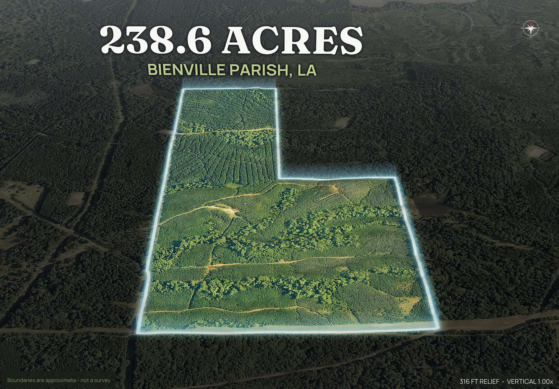 Spotlight, south of a Louisiana land parcel
