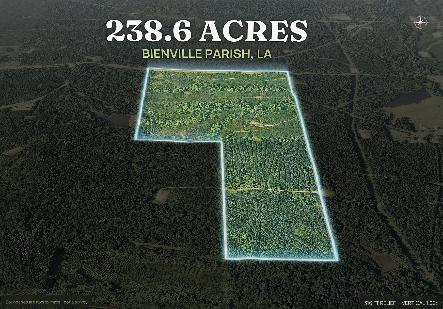 Spotlight, north of a Louisiana land parcel