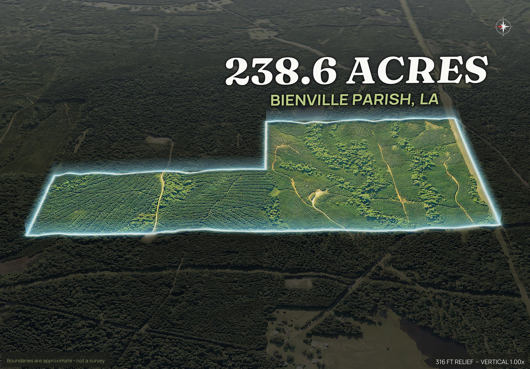 Spotlight, west of a Louisiana land parcel