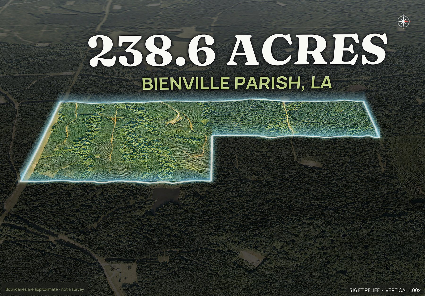 Spotlight, east of a Louisiana land parcel