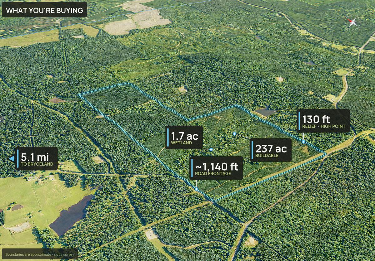 What You're Buying slide with callouts for a Louisiana land parcel