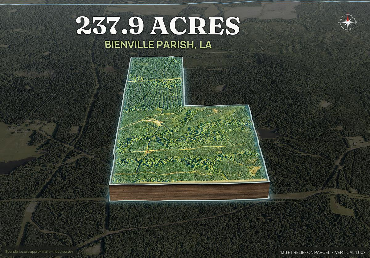 Pop-out of a Louisiana land parcel lifted out of the ground with dirt walls