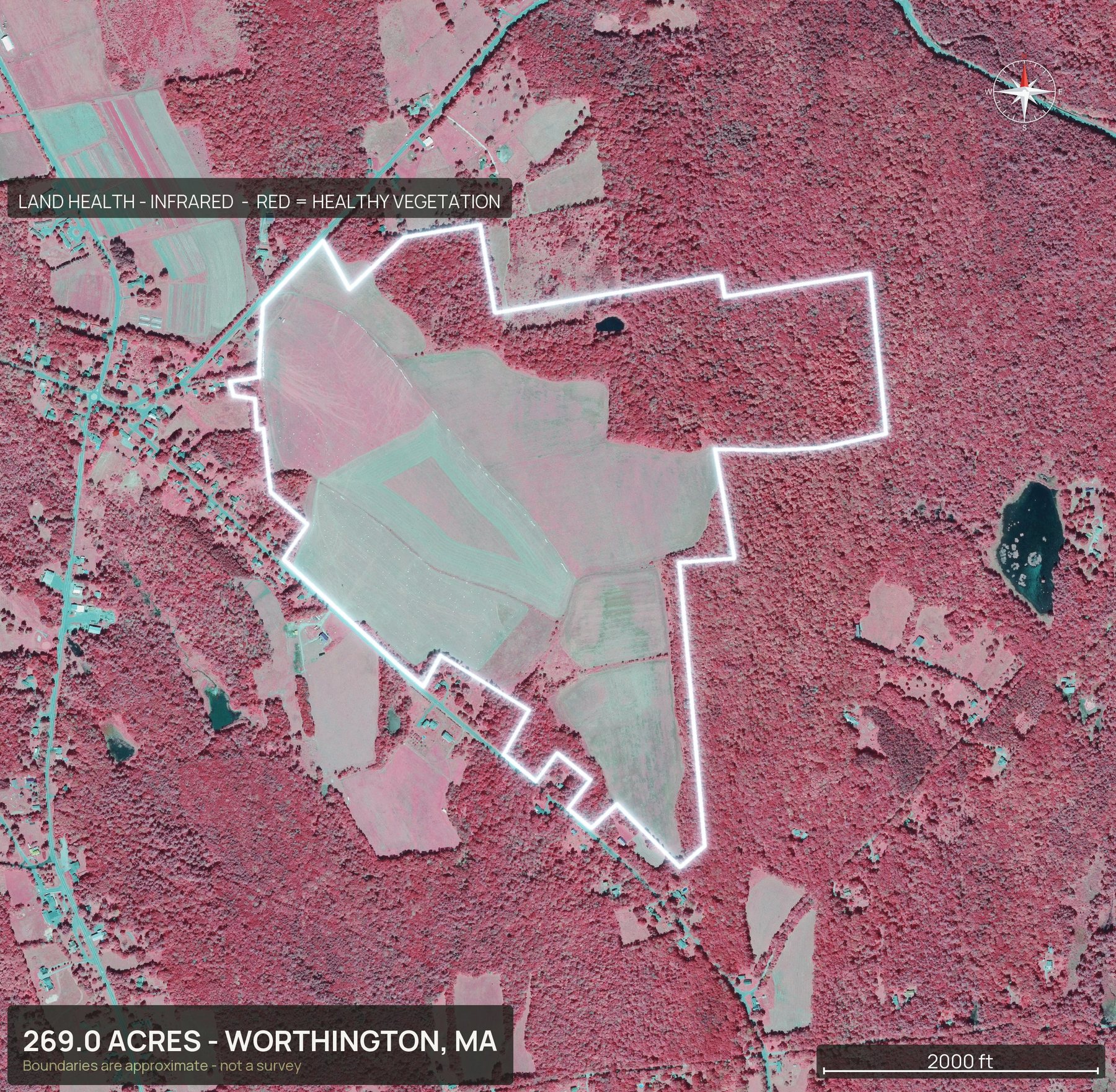 Land health, infrared of a Massachusetts land parcel