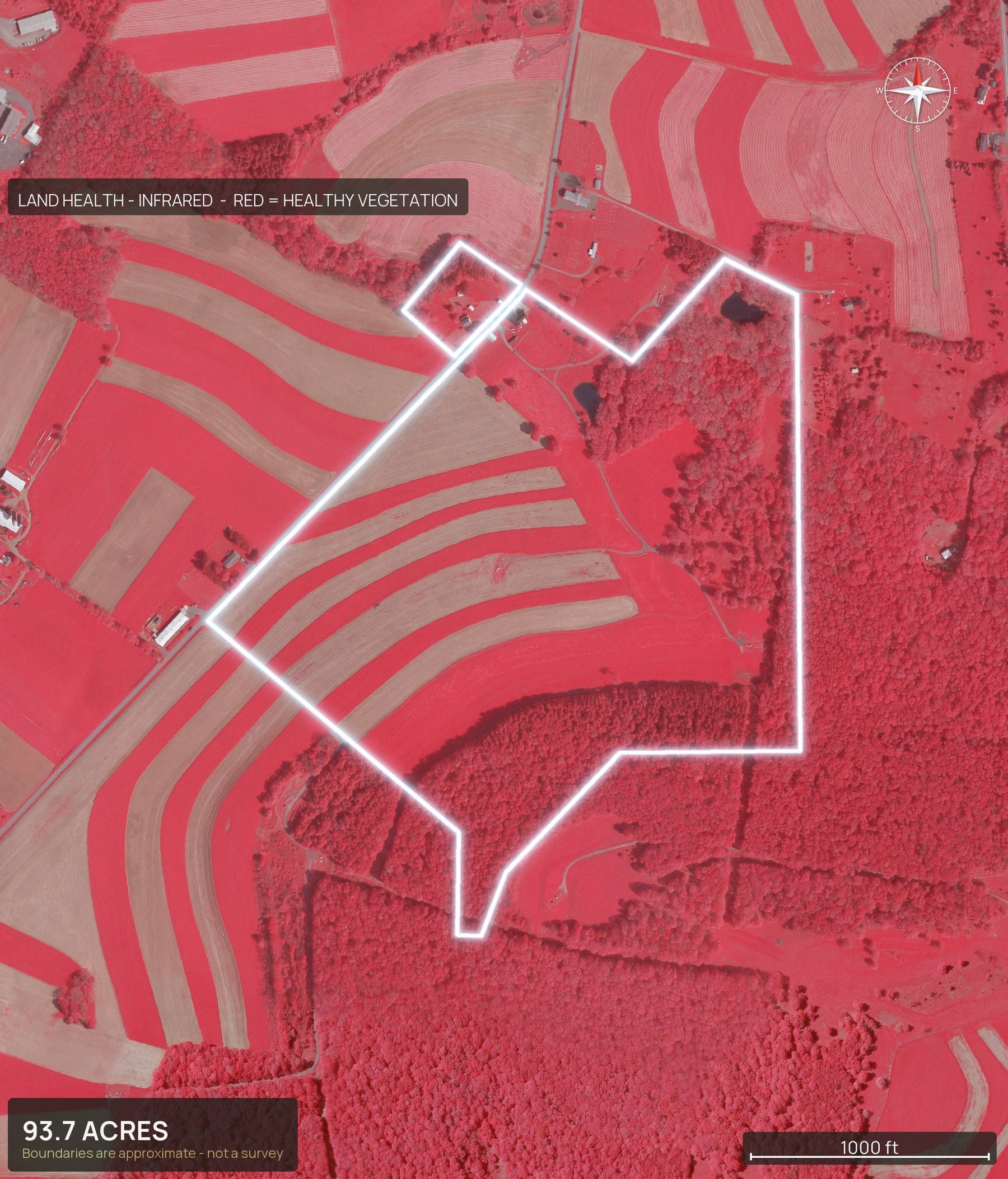 Land health, infrared of a Maryland land parcel