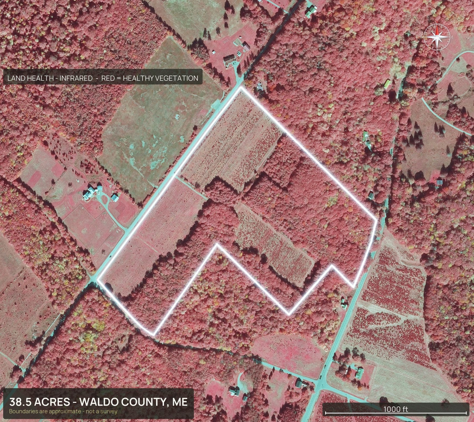 Land health, infrared of a Maine land parcel