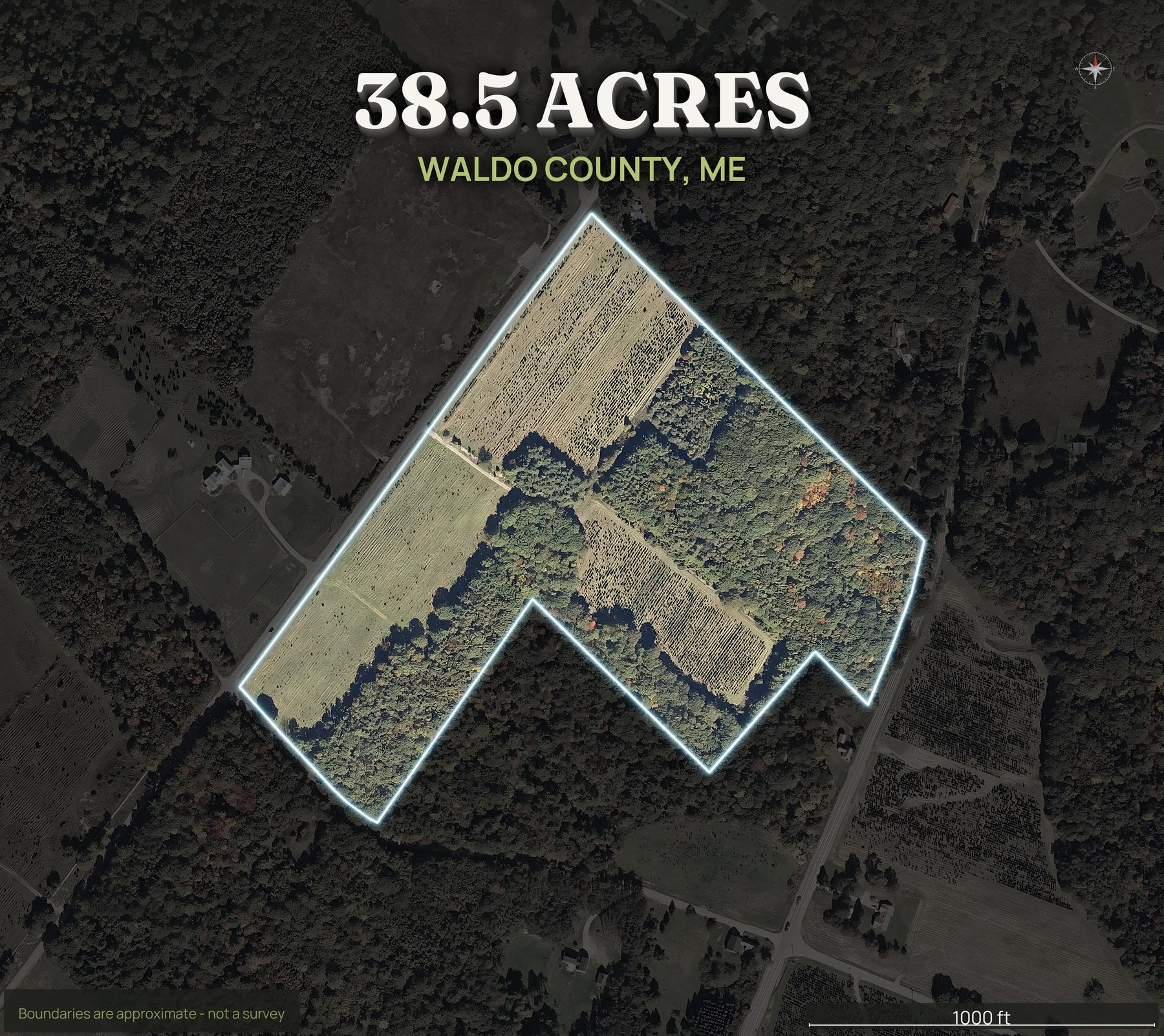 Spotlight top-down of a Maine land parcel