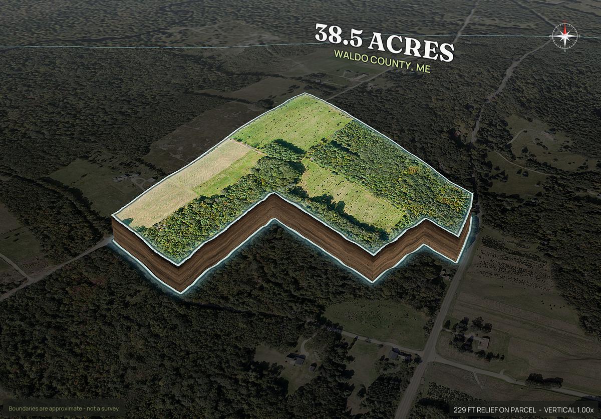 Pop-out of a Maine land parcel lifted out of the ground with dirt walls