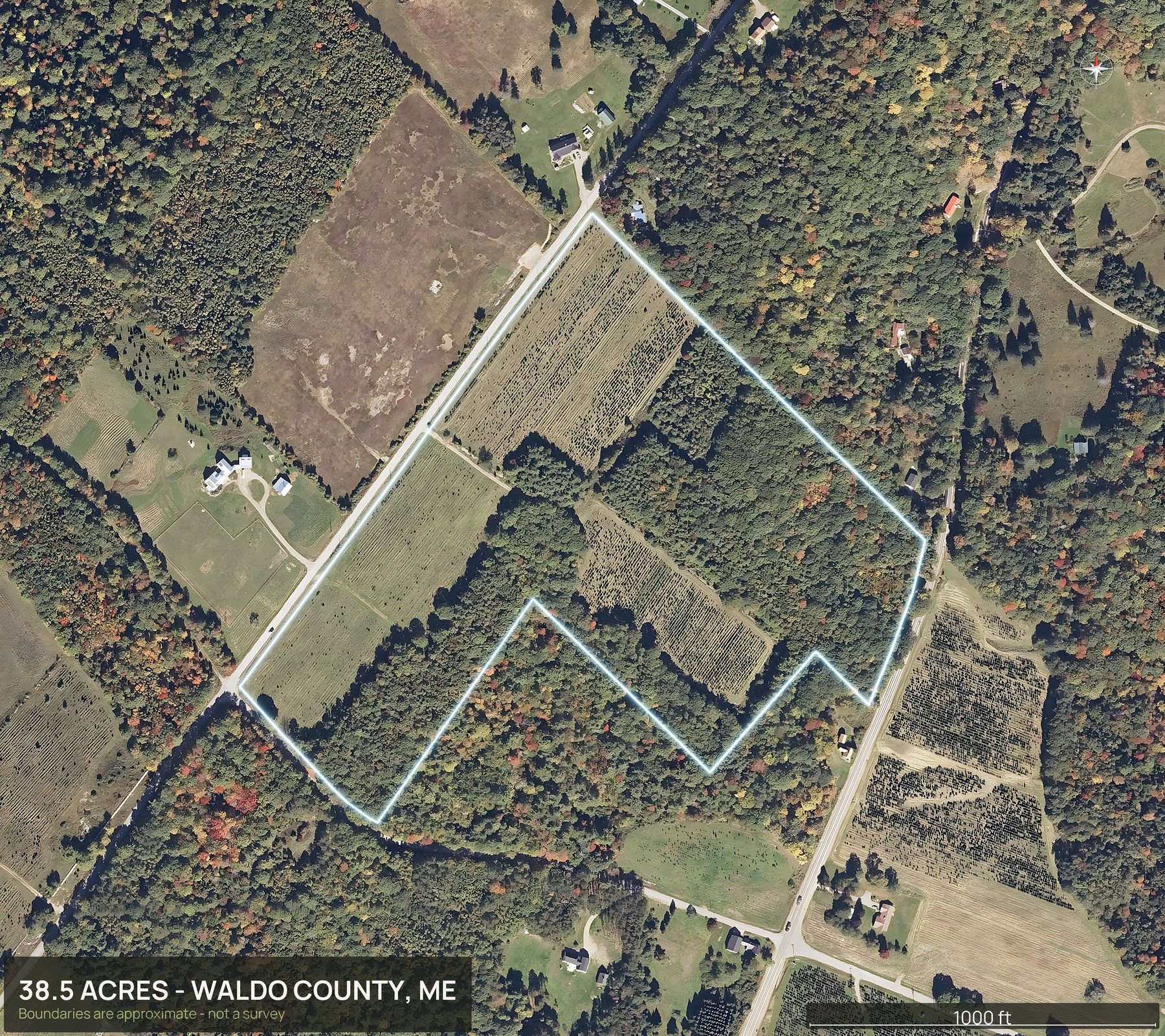 Outlined top down aerial photo of a Maine land parcel with the boundary drawn in green