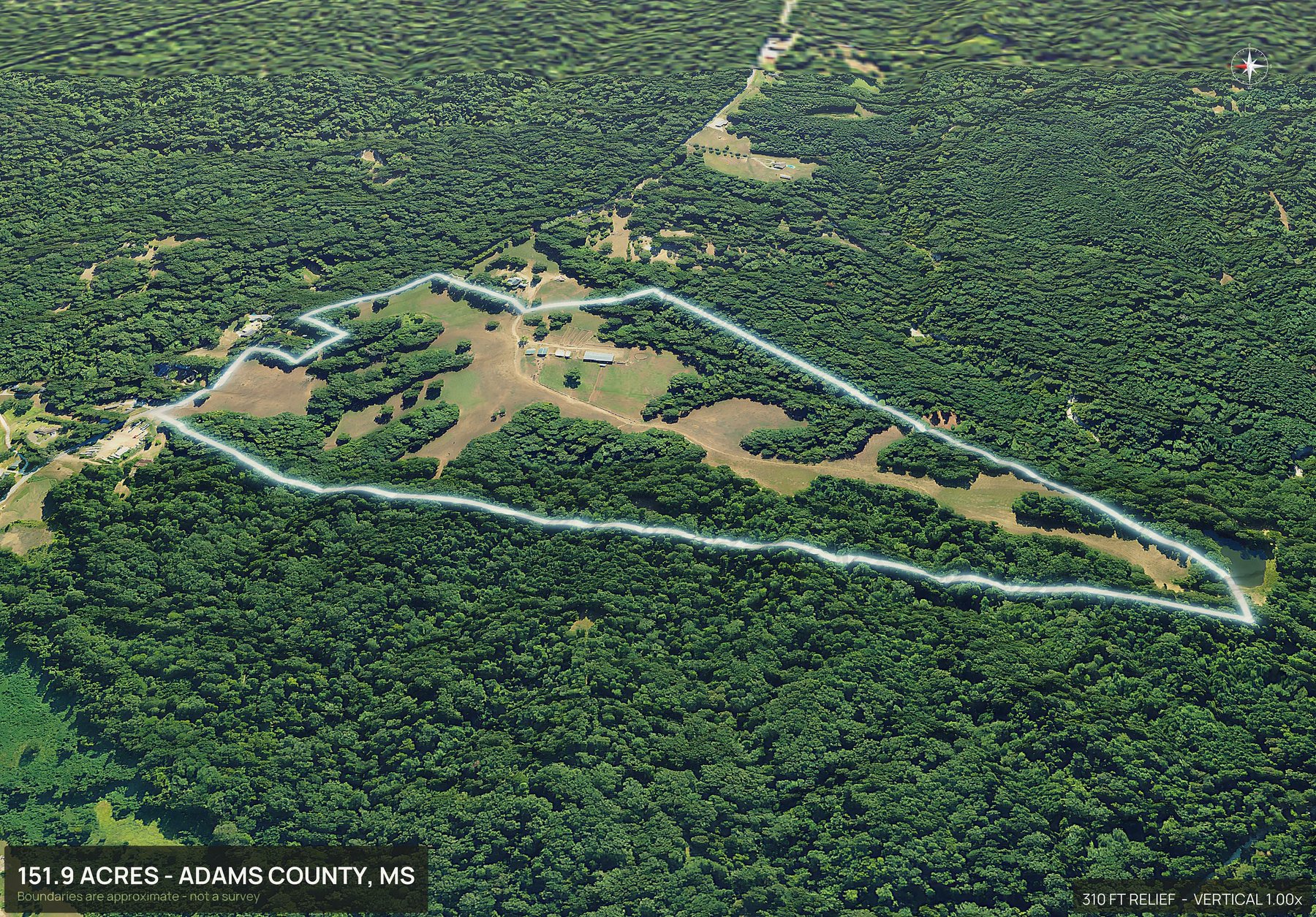 3D from the west of a Mississippi land parcel
