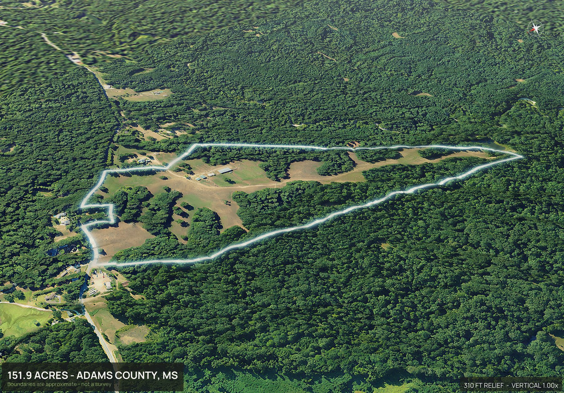 Road frontage of a Mississippi land parcel