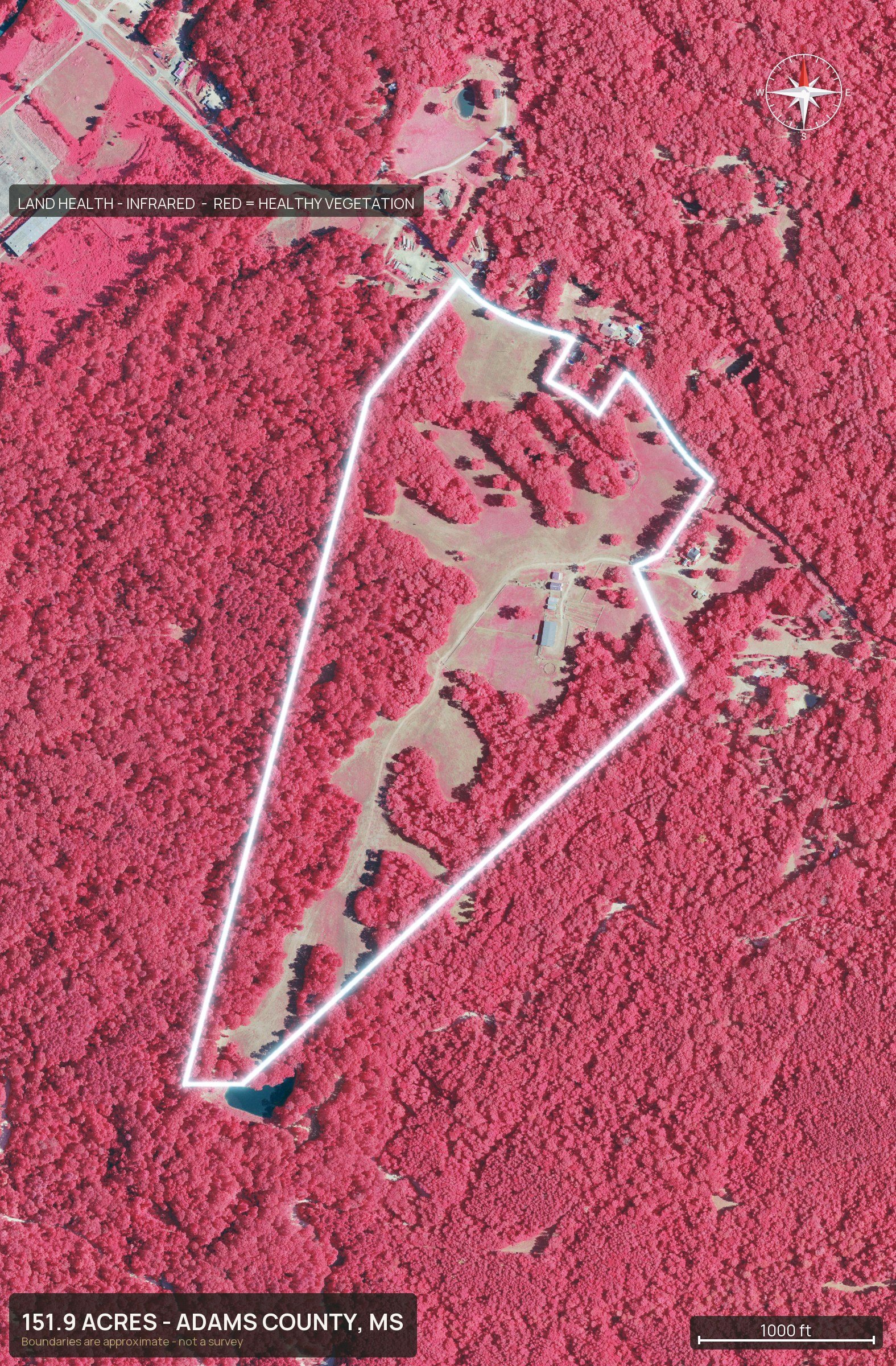 Land health, infrared of a Mississippi land parcel