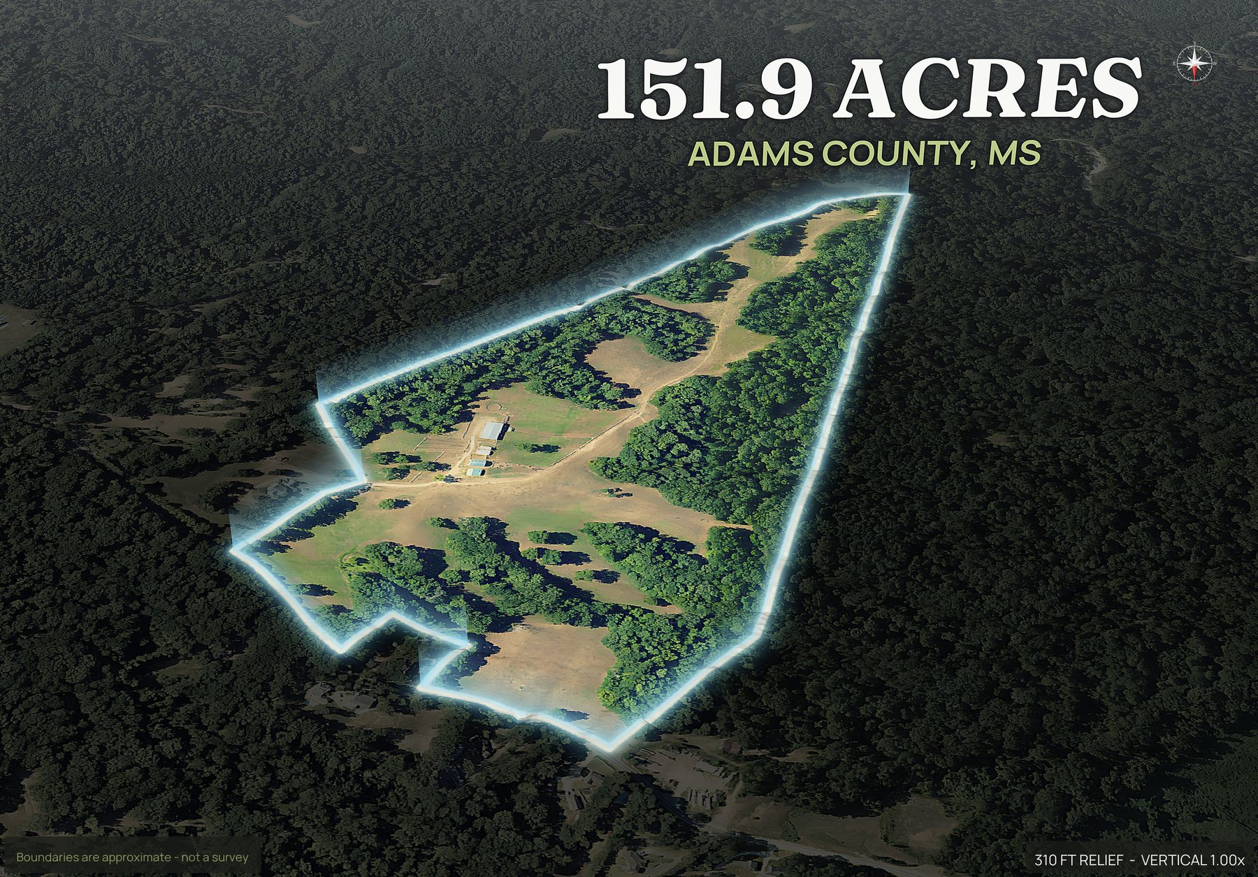 Spotlight, north of a Mississippi land parcel