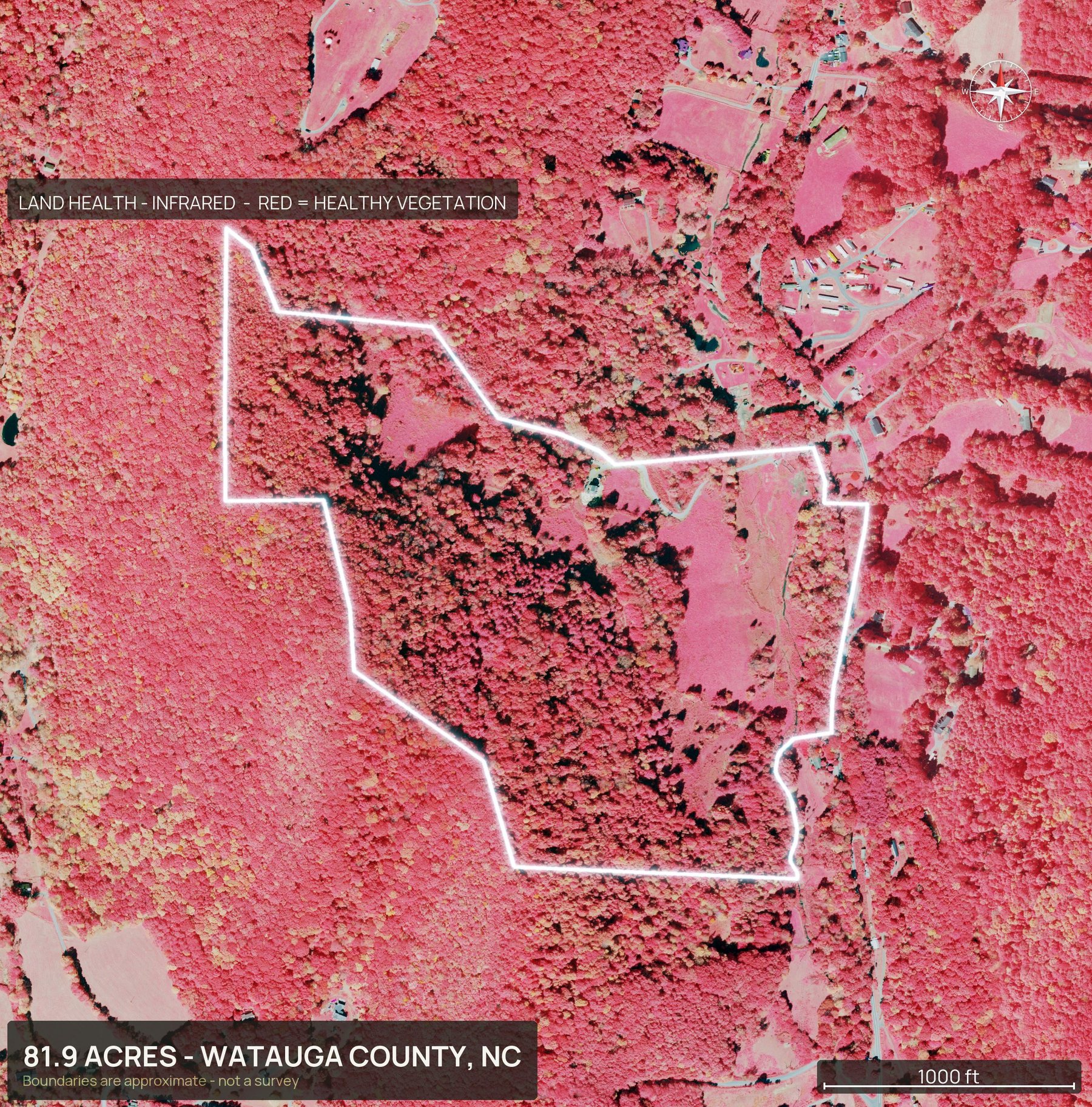 Land health, infrared of a North Carolina land parcel