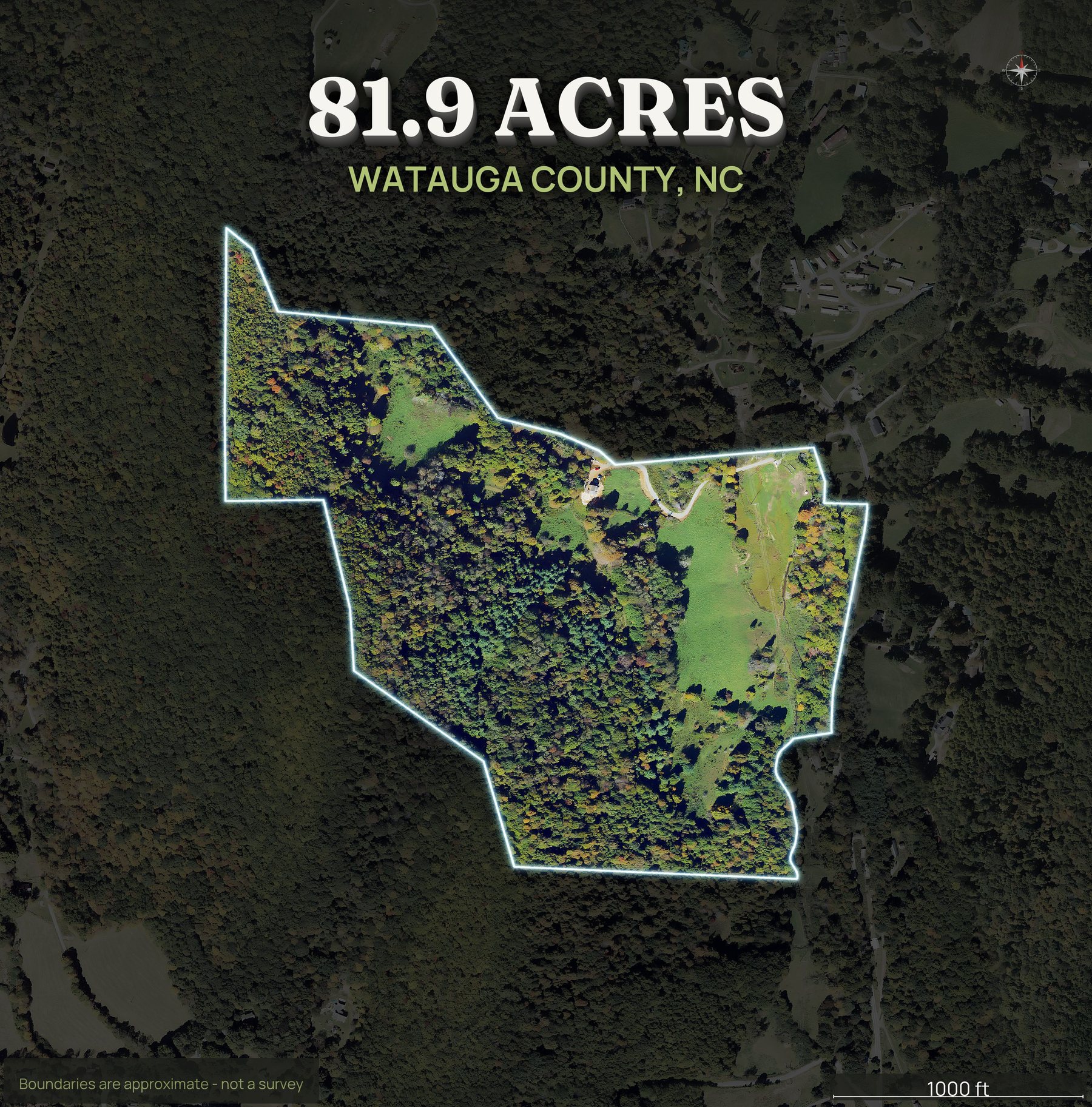 Spotlight top-down of a North Carolina land parcel