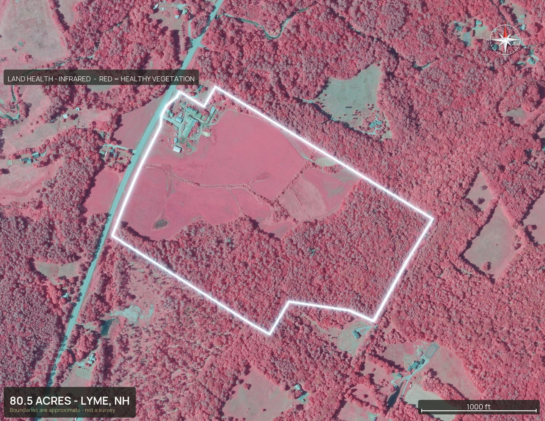 Land health, infrared of a New Hampshire land parcel