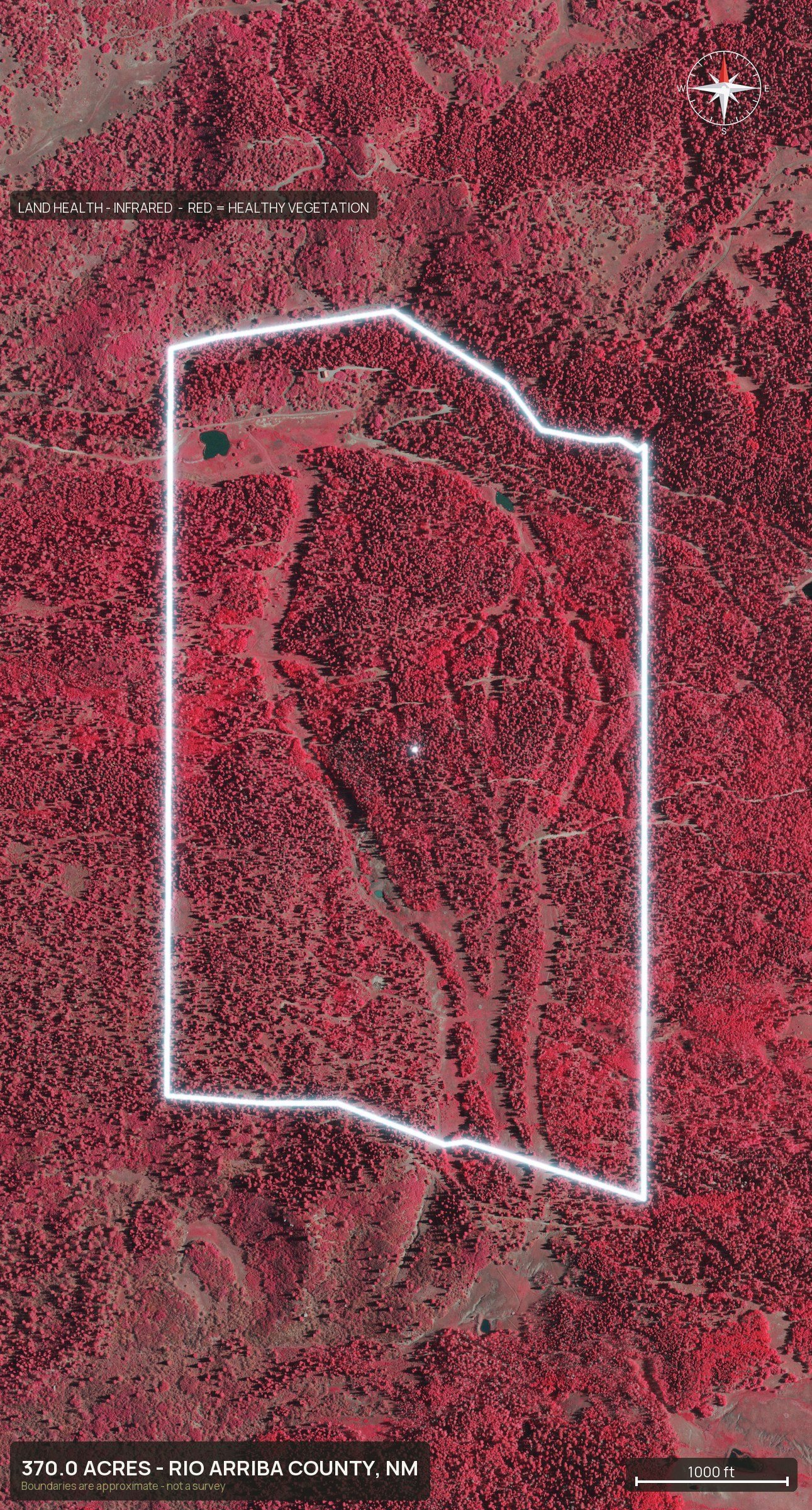 Land health, infrared of a New Mexico land parcel