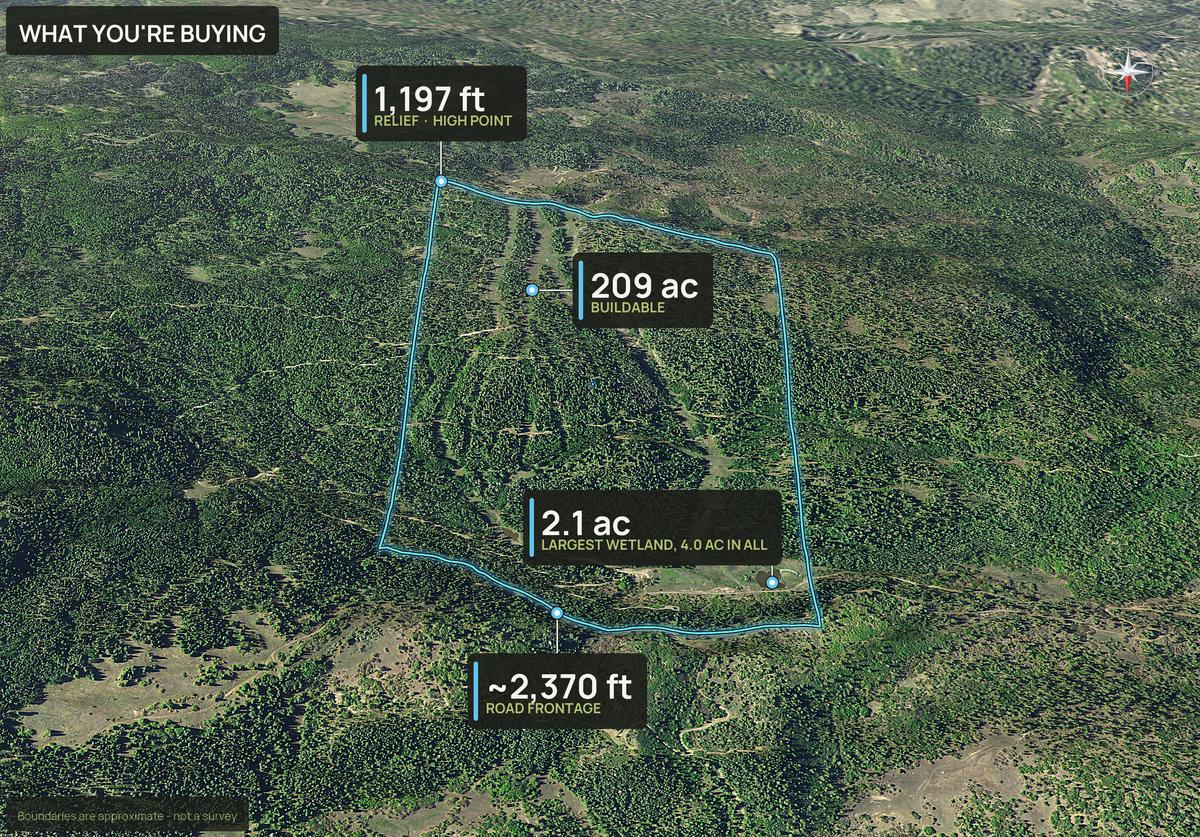What You're Buying slide with callouts for a New Mexico land parcel