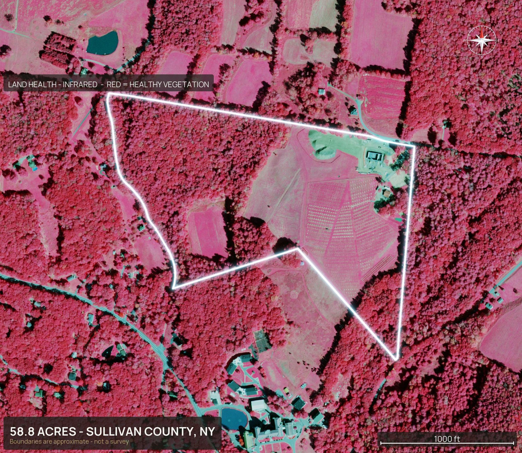 Land health, infrared of a New York land parcel