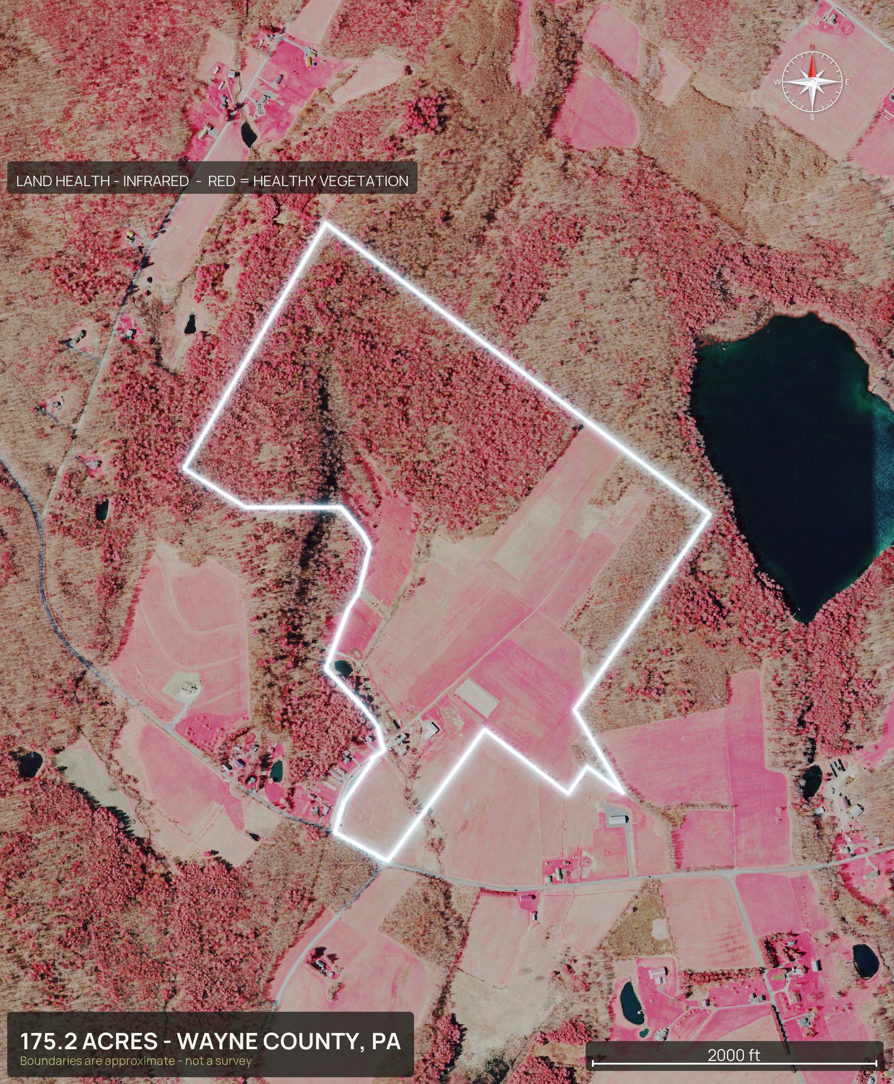 Land health, infrared of a Pennsylvania land parcel