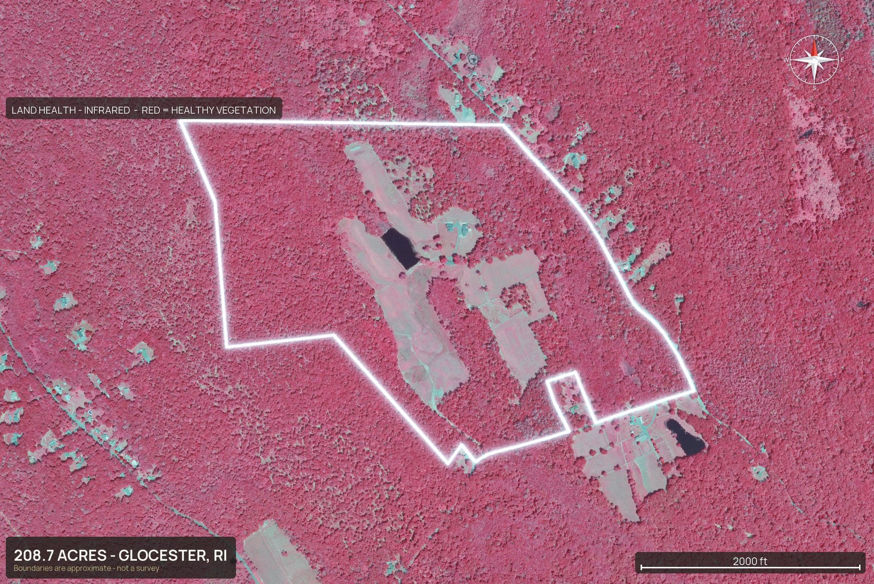 Land health, infrared of a Rhode Island land parcel