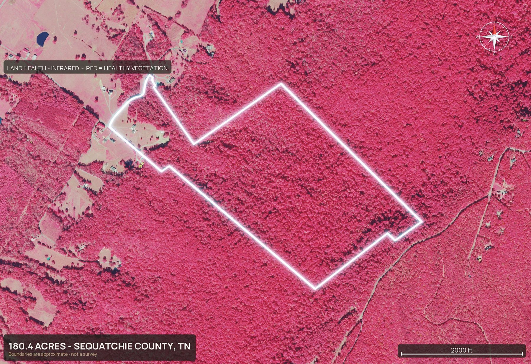 Land health, infrared of a Tennessee land parcel