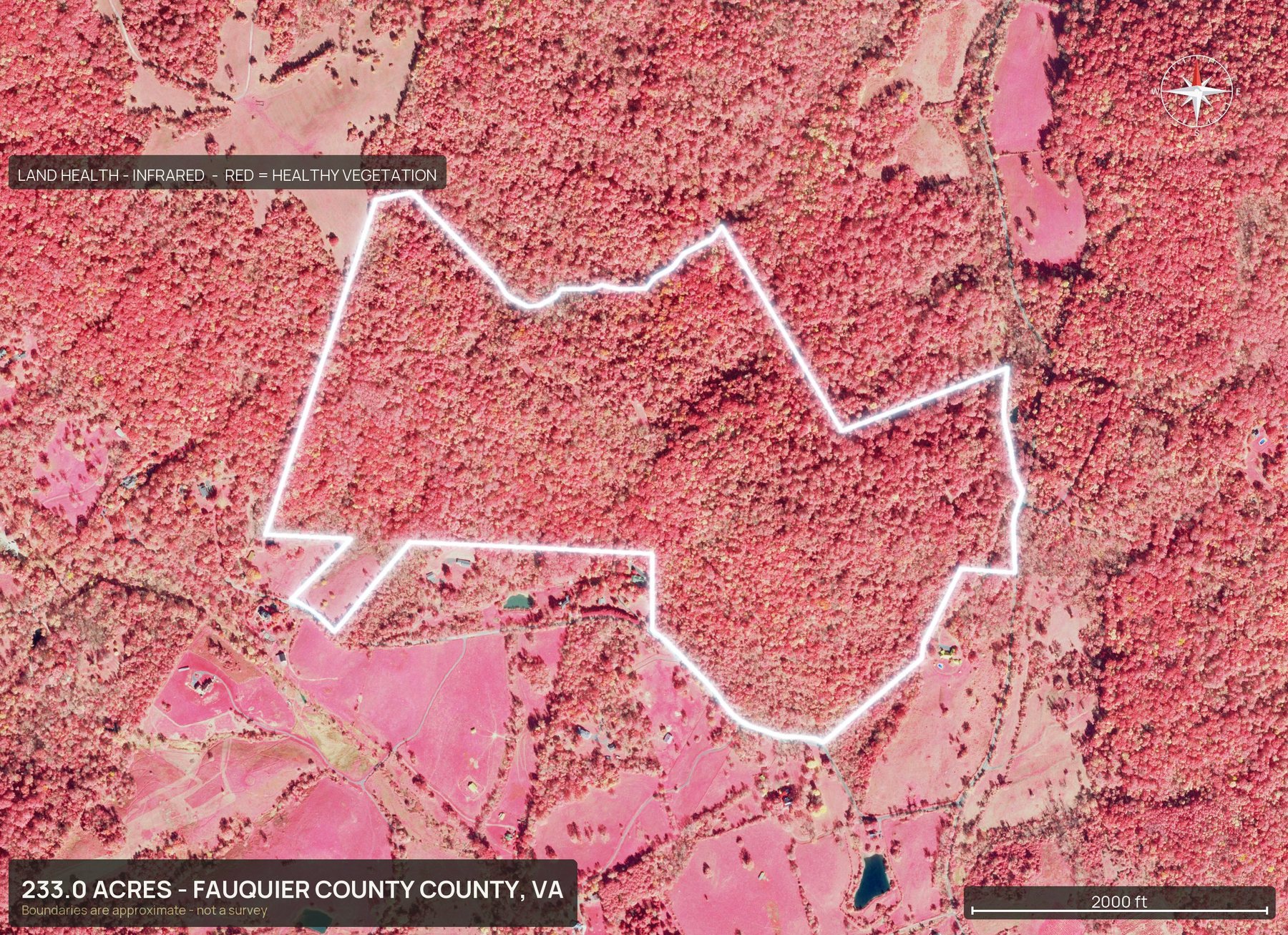 Land health, infrared of a Virginia land parcel