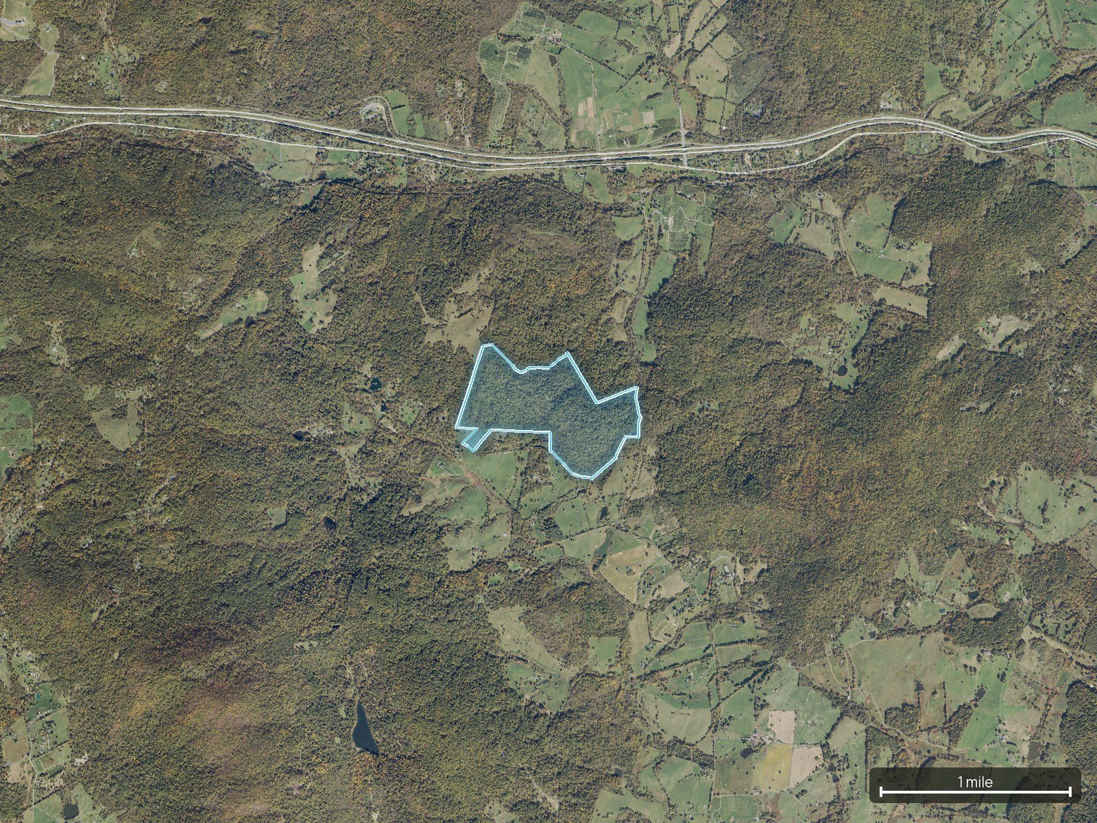 Context map of a Virginia land parcel