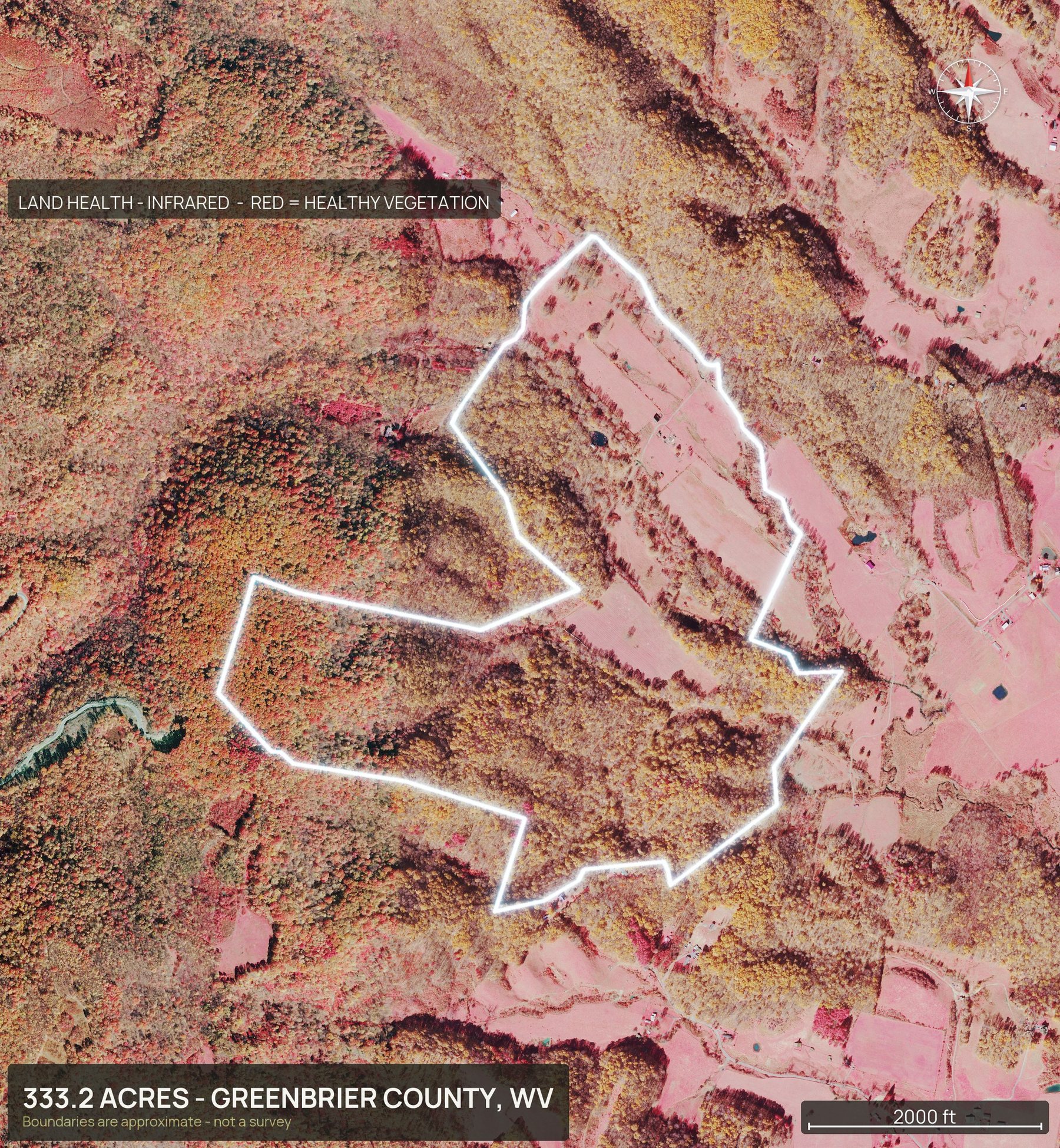 Land health, infrared of a West Virginia land parcel