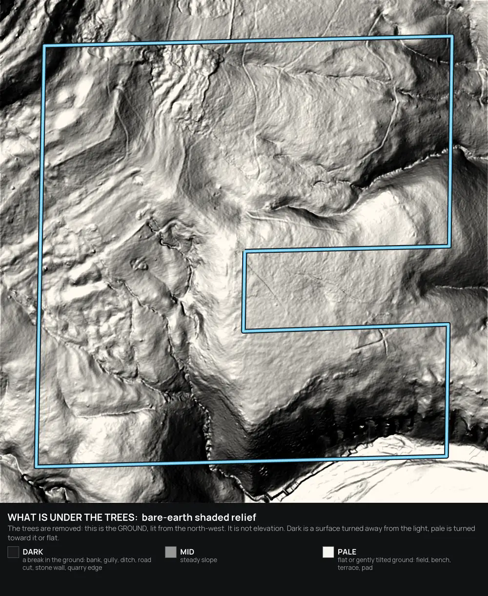 LiDAR bare-earth shaded relief of an Arkansas hunting parcel showing ridges, draws, benches and old roads with the trees removed