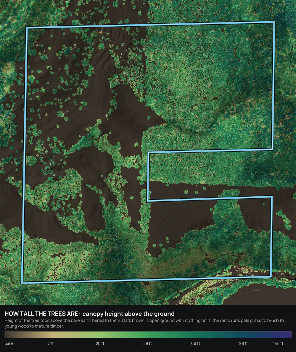 LiDAR canopy height map of an Arkansas hunting parcel with open ground in brown and timber height in green and blue, boundary outlined