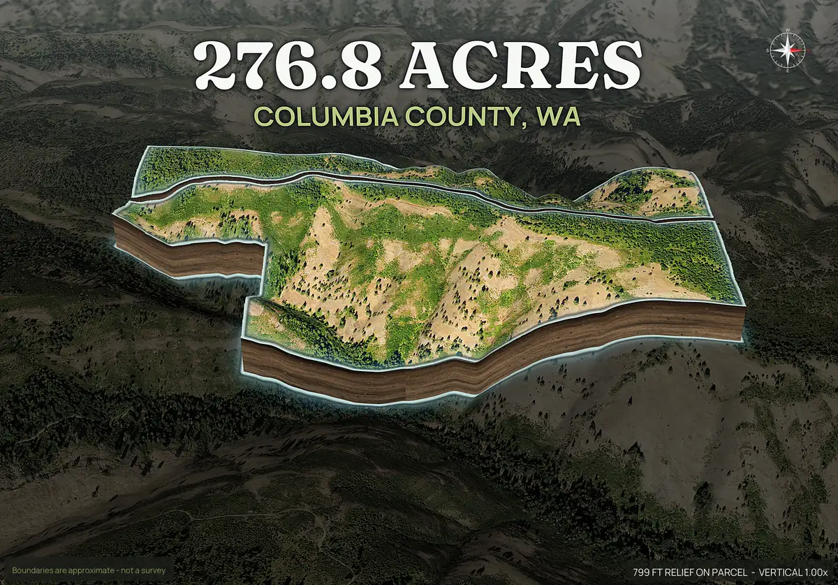 Pop-out 3D photo of a Washington timbered draw and open slope hunting parcel lifted off the landscape with dirt walls
