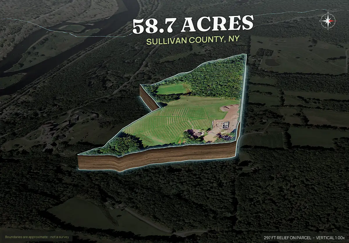Pop-out 3D photo of a New York hayfield and woodlot parcel lifted off the landscape with dirt walls